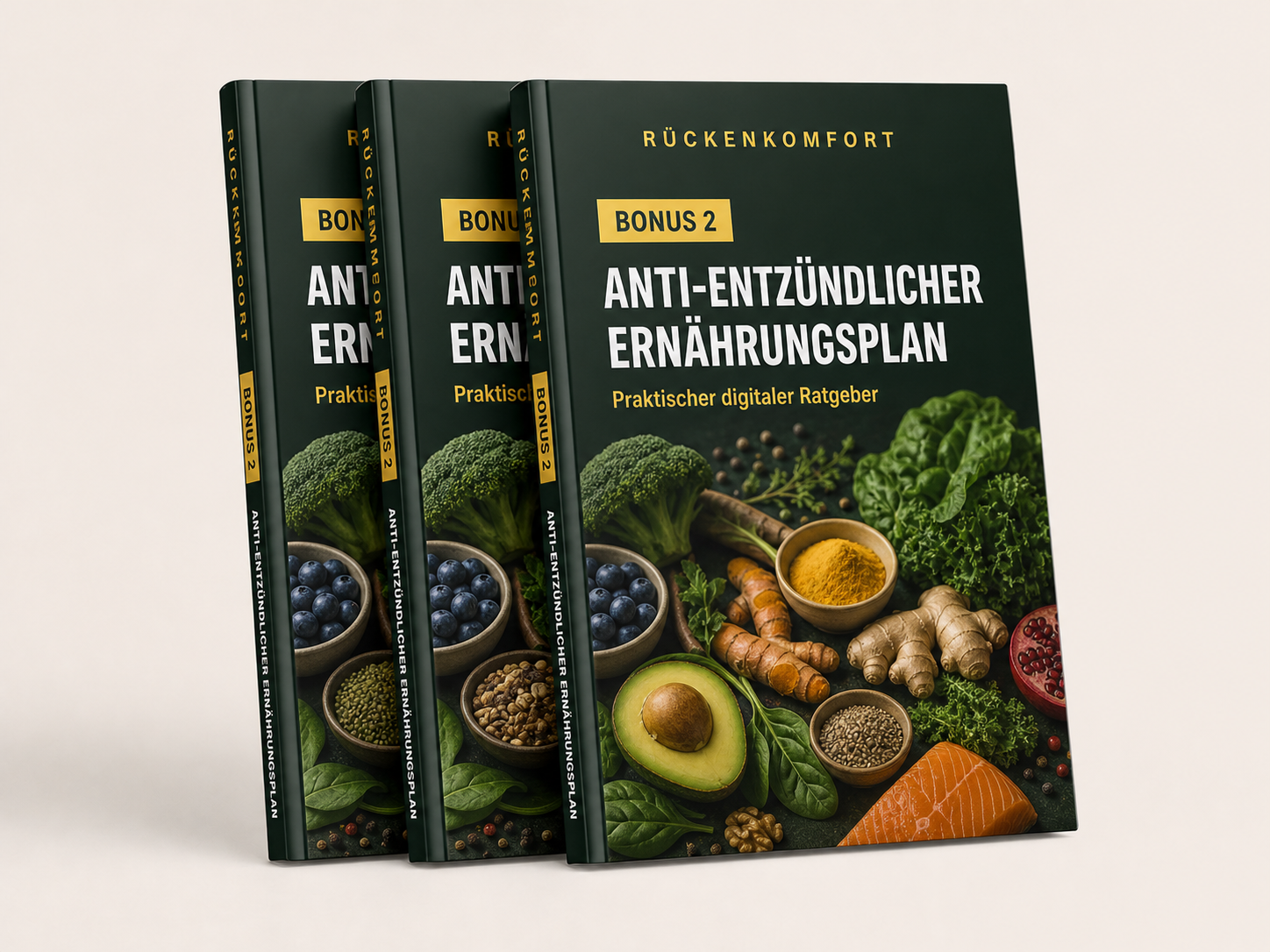 RückenKomfort anti-entzündlicher Ernährungsplan